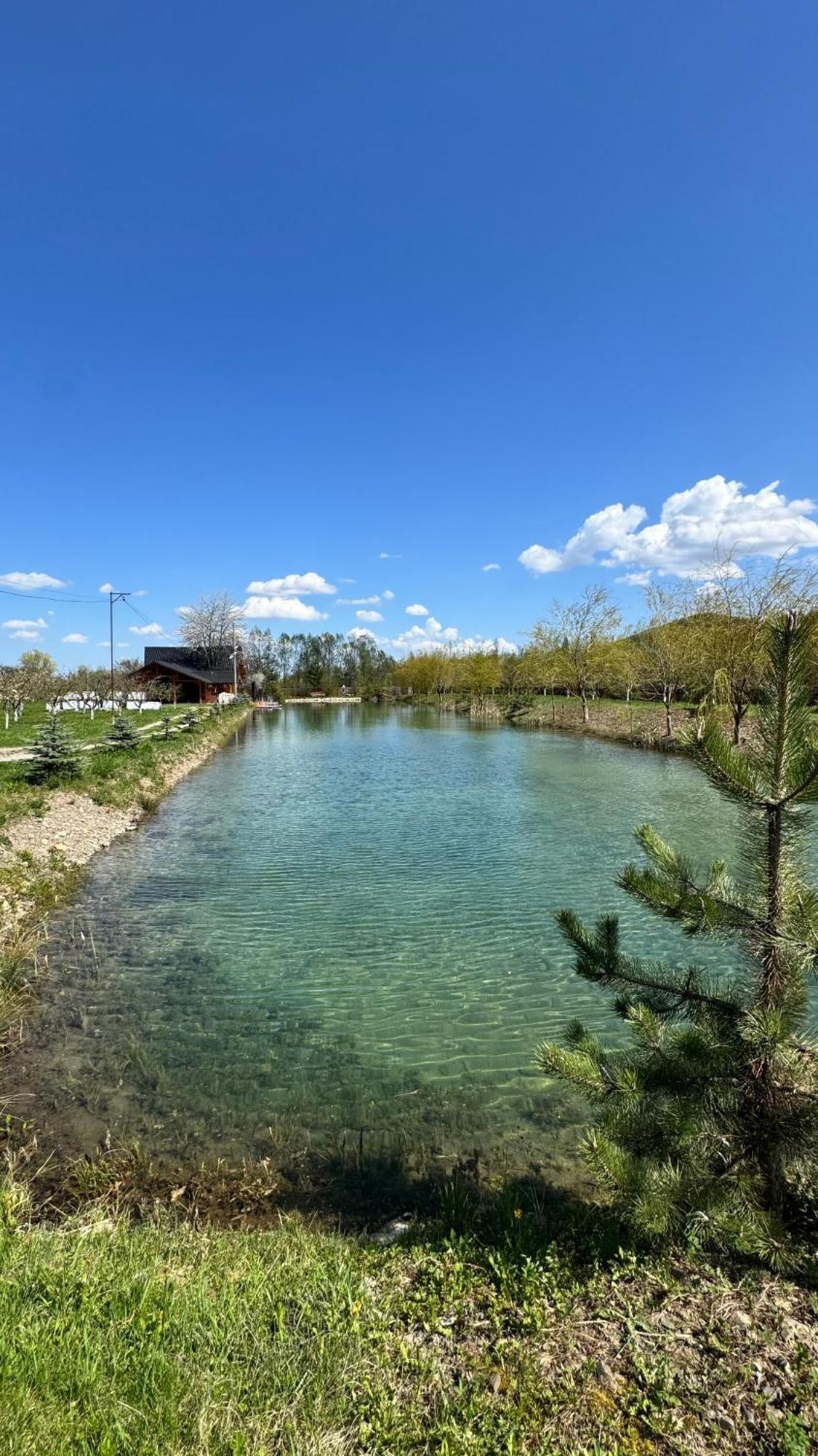 Moonlake Chalet Gainesti Zewnętrze zdjęcie